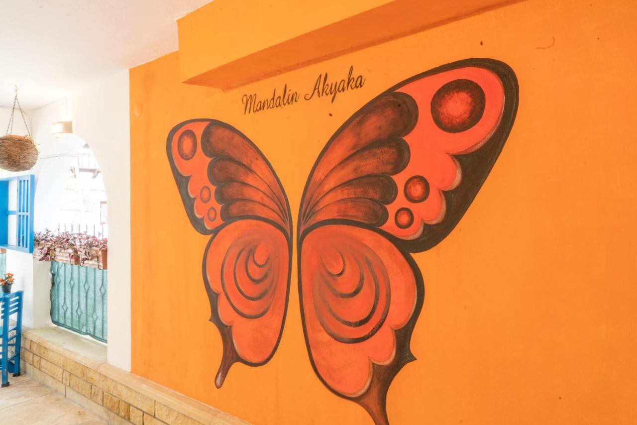 Mandalin Akyaka Hotel Akyaka  Bagian luar foto